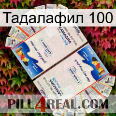 Тадалафил 100 kamagra1